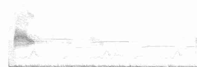 Schwarzkehl-Nachtschwalbe - ML346885481