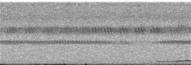Сова-голконіг далекосхідна - ML346897621