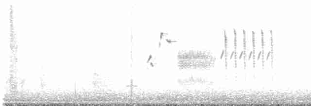 Black-throated Sparrow - ML346999281
