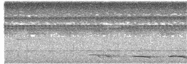 Trogon rosalba - ML347003761