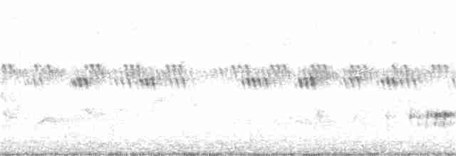 Ring-necked Pheasant - ML347078681