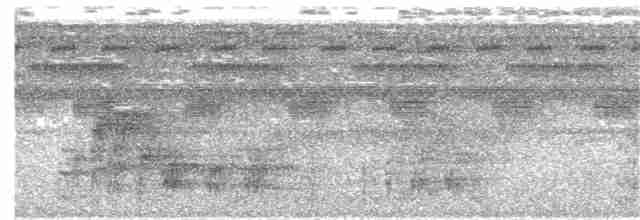 Лінивка-чорнопер білолоба - ML347087931