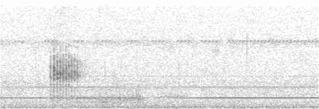 Oriental Reed Warbler - ML347111121