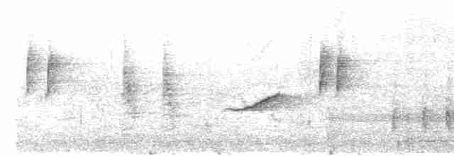 Blyth's Reed Warbler - ML347127251