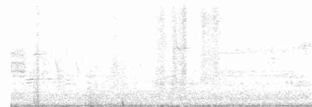 pygmérørdrum - ML347140111