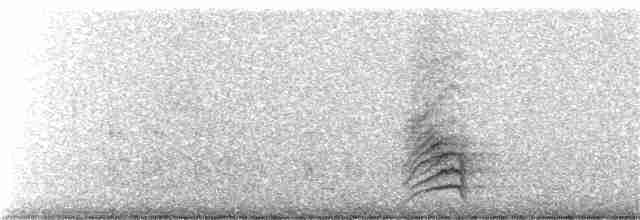White-necked Thrush (Rufous-flanked) - ML347200961