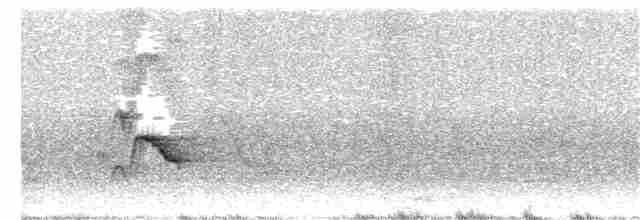 Пересмішник жовтодзьобий - ML347250321