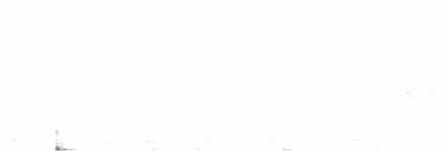 Кузнечиковая овсянка-барсучок - ML347283301