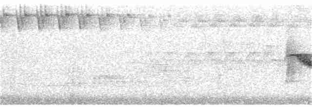 Bicknell Bülbül Ardıcı - ML347289911