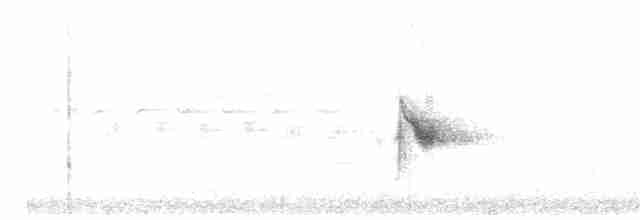 Пестрогорлый соловьиный дрозд - ML347291241