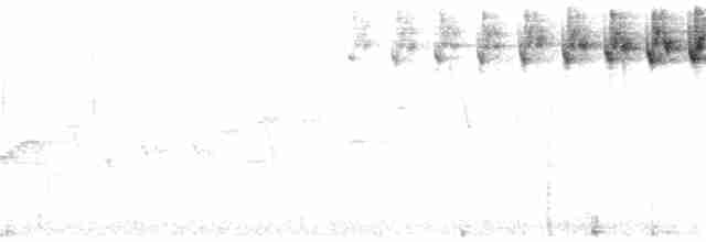 lesňáček černohlavý - ML347292671