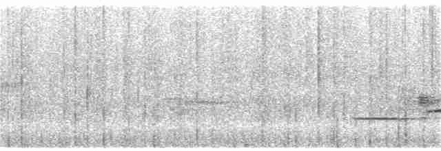 Дрізд-короткодзьоб плямистоволий - ML347294051