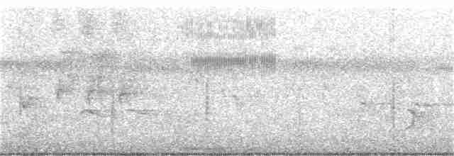 Karolina Çıtkuşu - ML347305411
