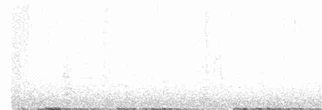 Bruant fauve (groupe schistacea) - ML347361541