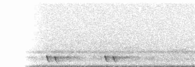 Red-necked Nightjar - ML347381241