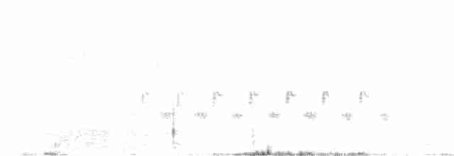 Kaya Çıtkuşu - ML347408301