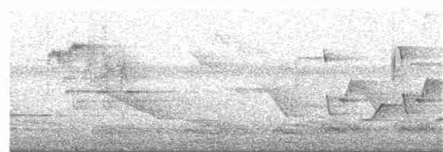 Каролинский крапивник - ML347462281