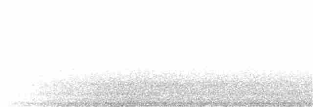 Лесной мухолов - ML347473601