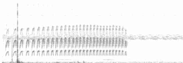 Graubrust-Dickichtschlüpfer - ML347489901