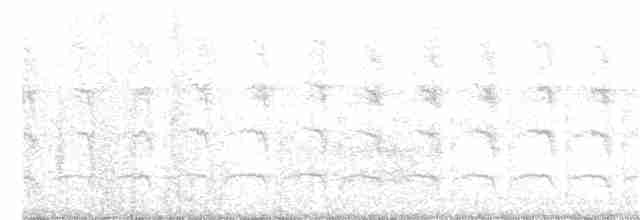 Красногрудый дятел-сокоед - ML347529031
