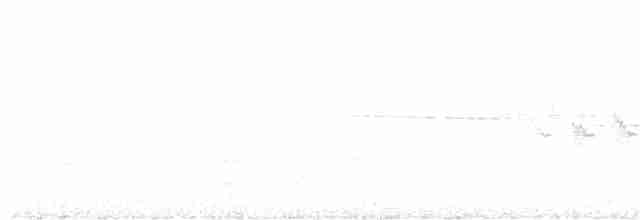 Желтобрюхий мухолов - ML347532581