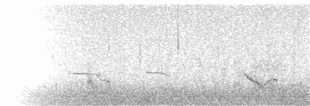 Короткоклювый бекасовидный веретенник - ML34754451
