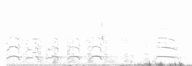 Snowy Egret - ML347547951