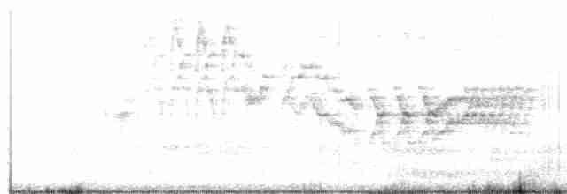 Пестрогорлый соловьиный дрозд - ML347548641