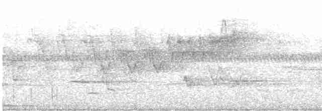 Cerulean Warbler - ML347562751