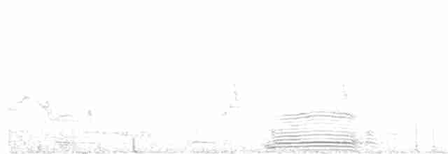 Snowy Egret - ML347580921