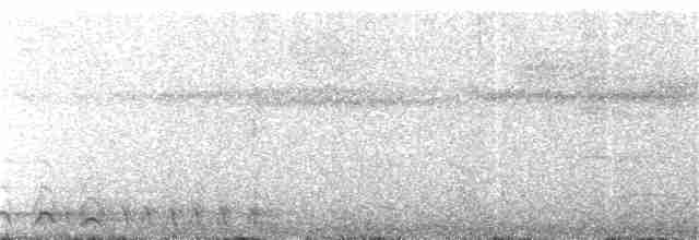 Lattice-tailed Trogon - ML347797561