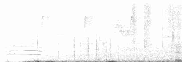 אווז הוואי - ML347814191