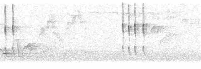 Troglodyte de Baird - ML347822661