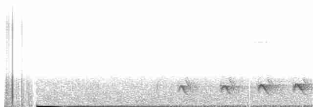 Black-crested Antshrike - ML347852311