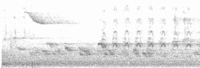 Eurasian Kestrel (Eurasian) - ML347911321