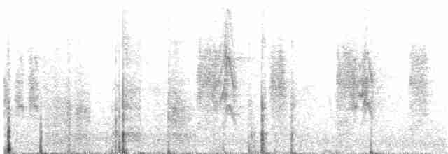 Woodchat Shrike - ML347945171