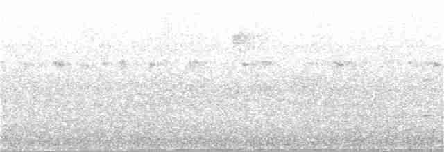 Тиран-інка буроголовий - ML347961901