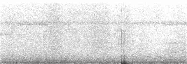 Lattice-tailed Trogon - ML348019991