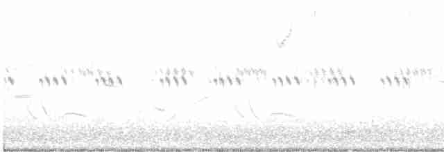 Ring-necked Pheasant - ML348024941