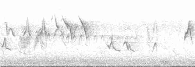 Ивовый мухолов - ML348061301