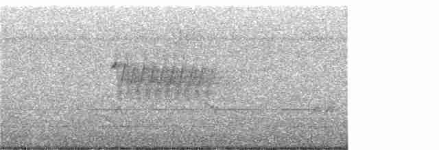 Тауї плямистий - ML348137581