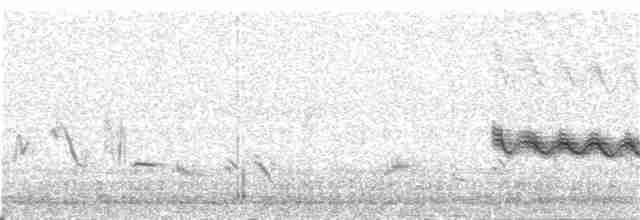 Kaya Çıtkuşu - ML348137691
