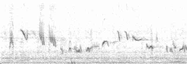 Cuitlacoche de las Artemisas - ML348137771