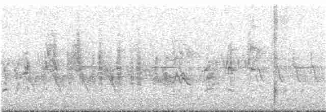 Eastern Olivaceous Warbler - ML348181701