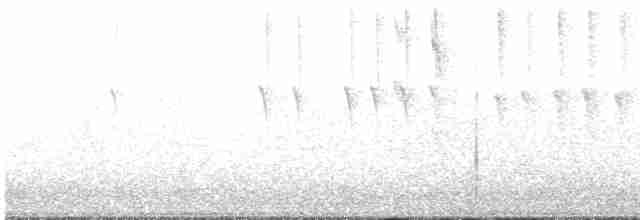 Colibri corinne - ML348182371