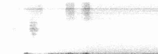 White-lored Gnatcatcher - ML348187191