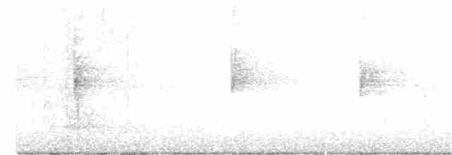 Трясогузковый певун - ML348259251
