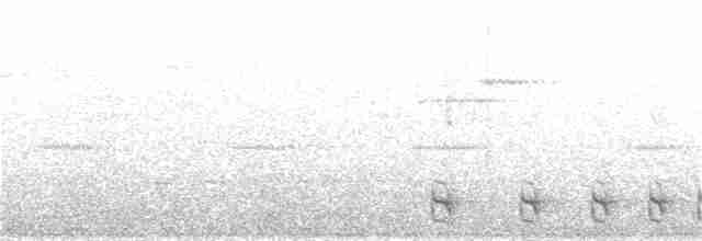 Natterer Gri Karıncaavcısı - ML348261511