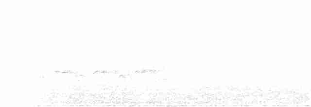 Turuncu Ardıç - ML348395701