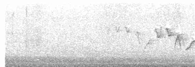 Common Yellowthroat - ML348407701